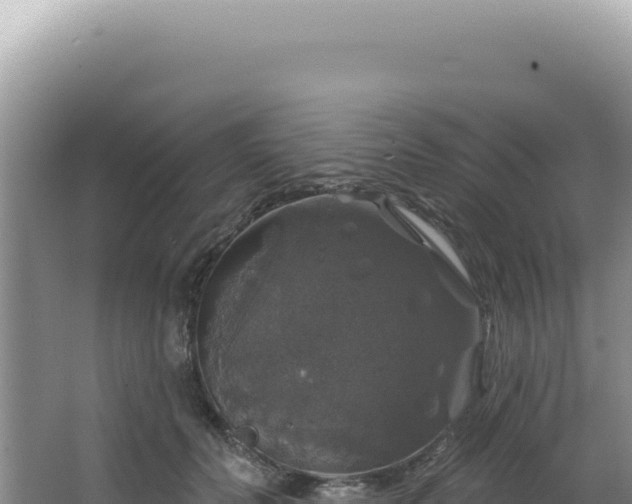 X0000064740606200602131318