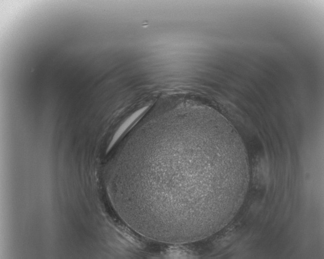 X0000064740608200602131318