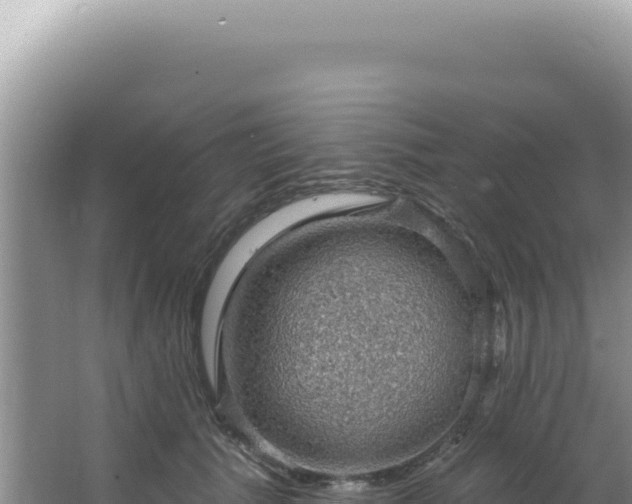 X0000064740609200602131318