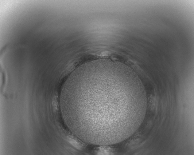 X0000064740612200602131318