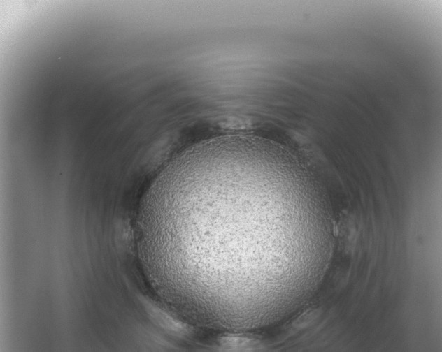 X0000064740614200602131318