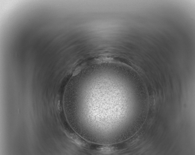 X0000064740615200602131318