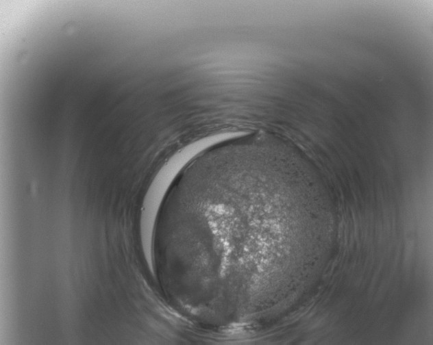 X0000064740616200602131318