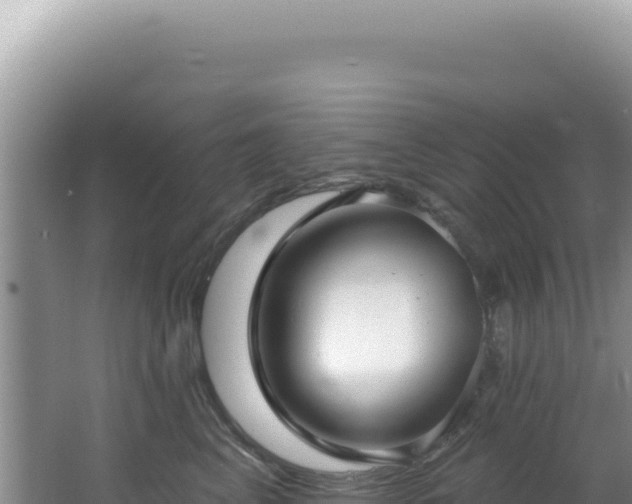 X0000064740617200602131318