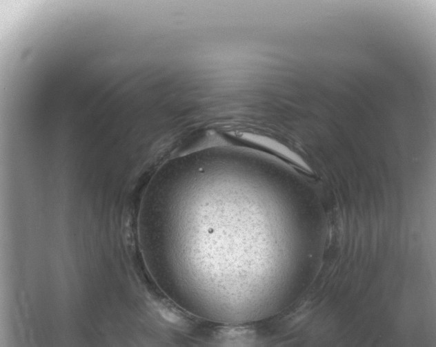 X0000064740619200602131318