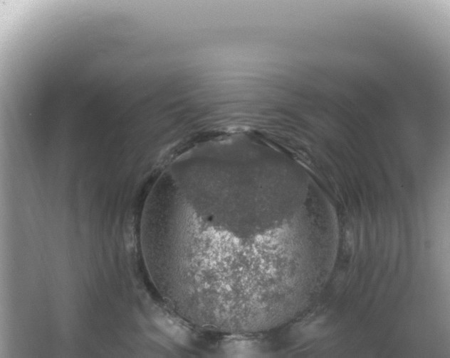 X0000064740620200602131318