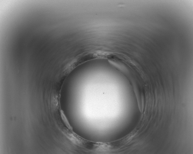 X0000064740621200602131318