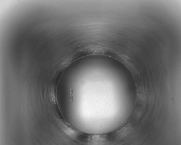 X0000064740622200602131318