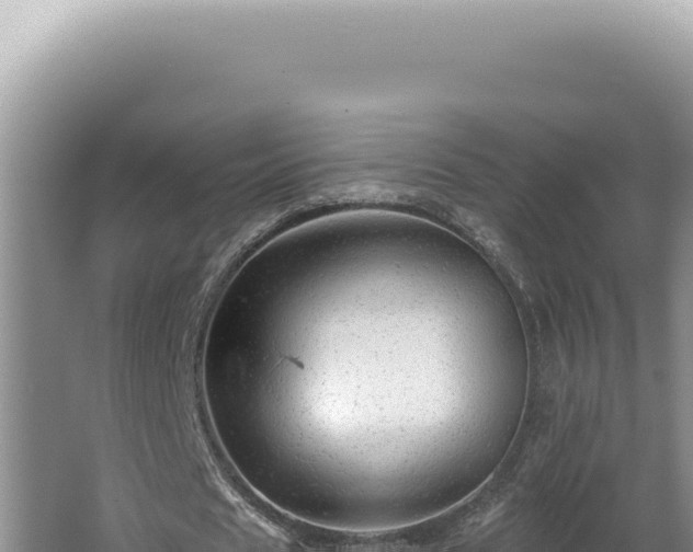 X0000064740625200602131317