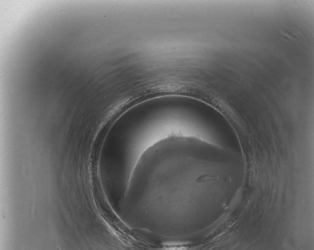 X0000064740626200602131317