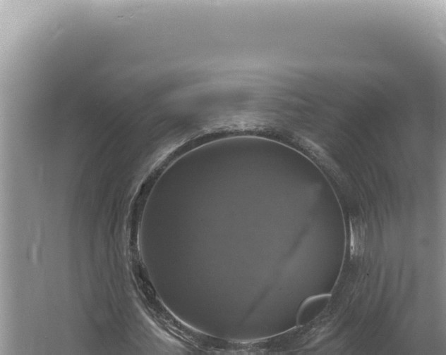 X0000064740627200602131317