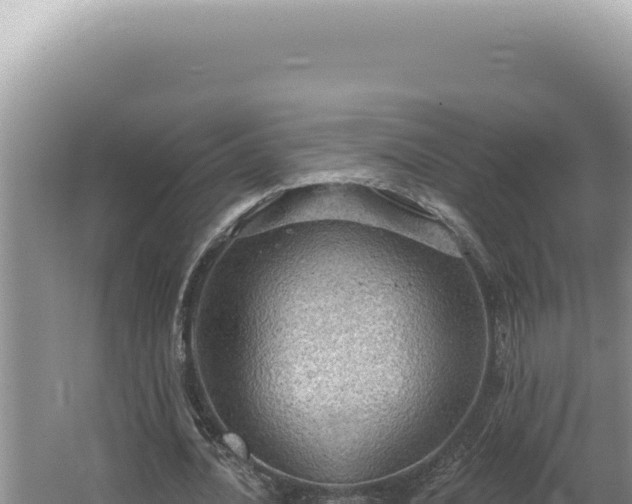 X0000064740628200602131317