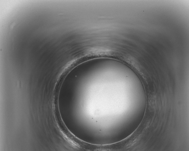 X0000064740629200602131317