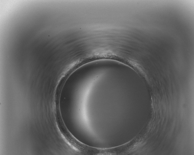 X0000064740630200602131317