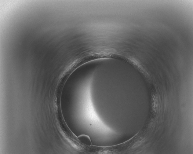 X0000064740634200602131317