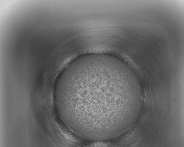 X0000064740636200602131317