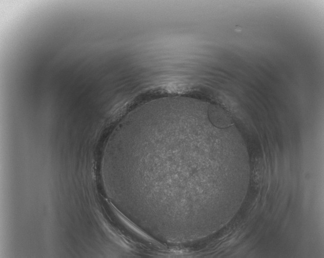 X0000064740639200602131317