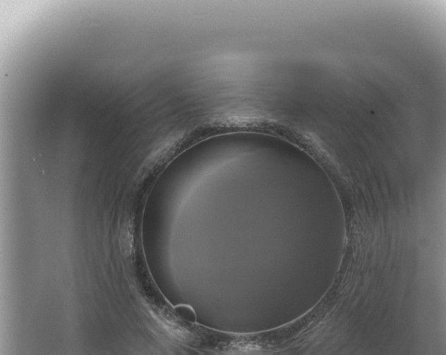 X0000064740640200602131317