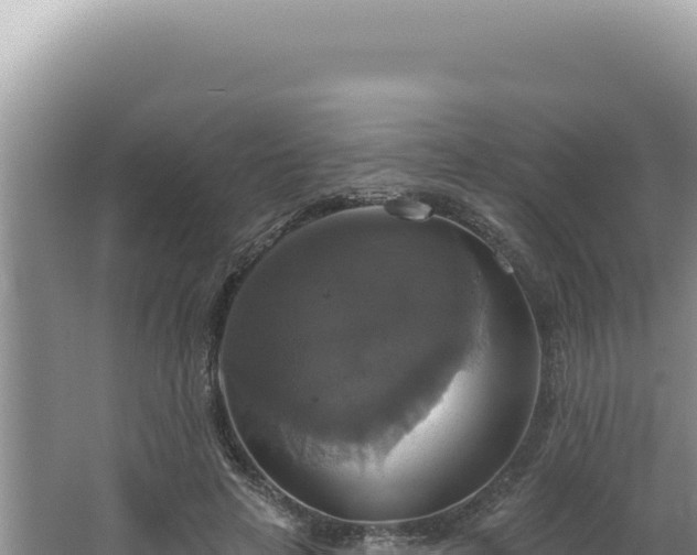 X0000064740641200602131317