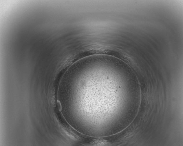 X0000064740642200602131317