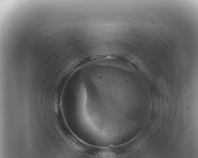 X0000064740644200602131317