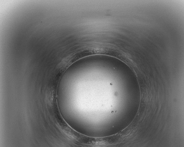 X0000064740645200602131317