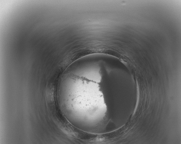 X0000064740647200602131317