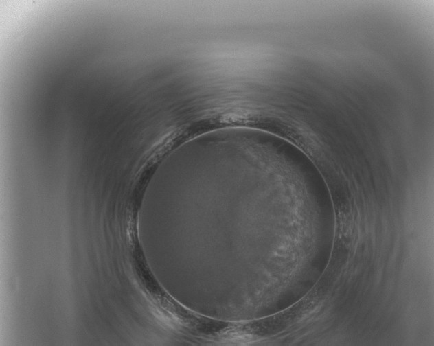 X0000064740648200602131317