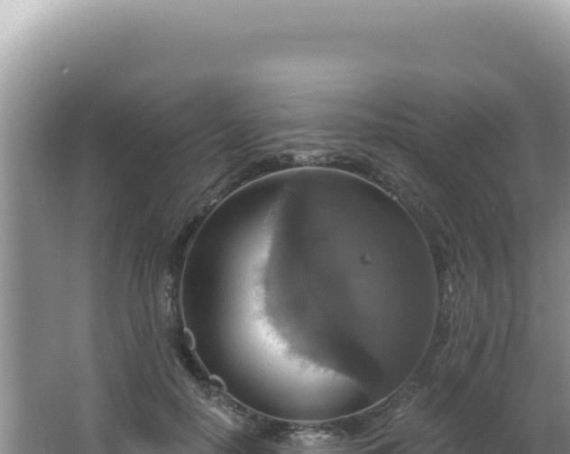 X0000064740650200602131317