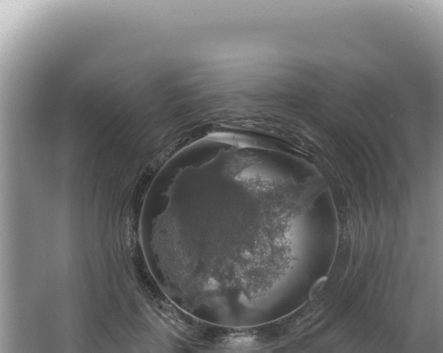 X0000064740651200602131317