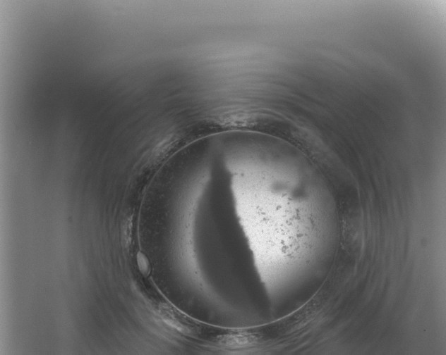 X0000064740652200602131317