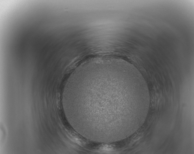 X0000064740656200602131317