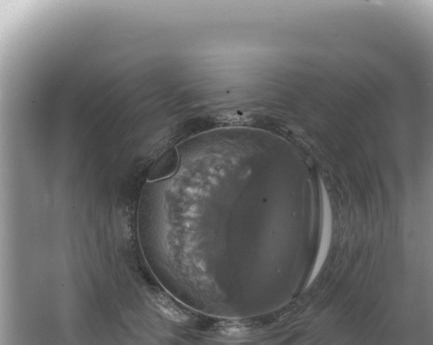 X0000064740658200602131317