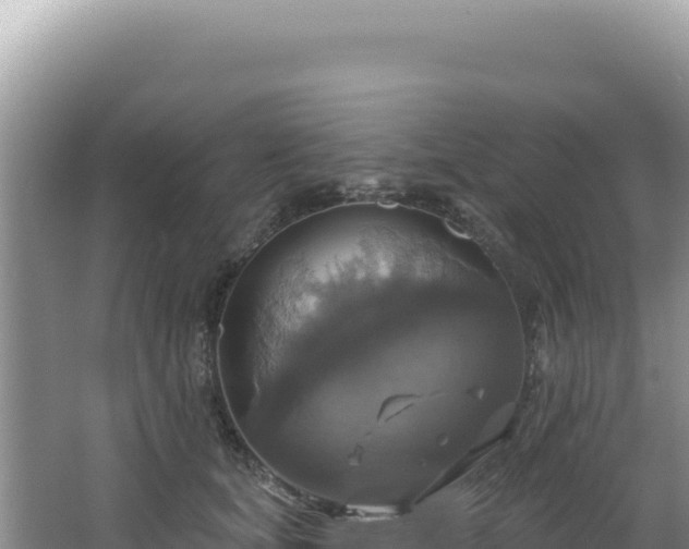 X0000064740659200602131317