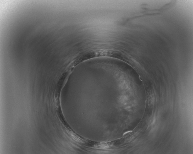 X0000064740661200602131317