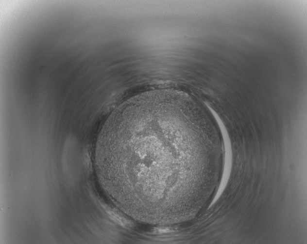 X0000064740662200602131317