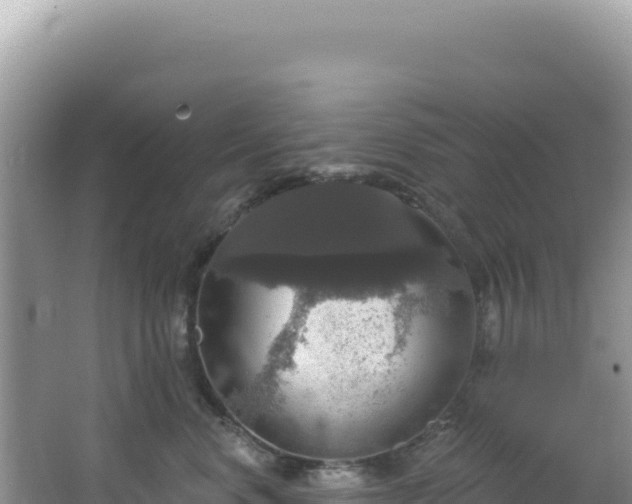 X0000064740668200602131317