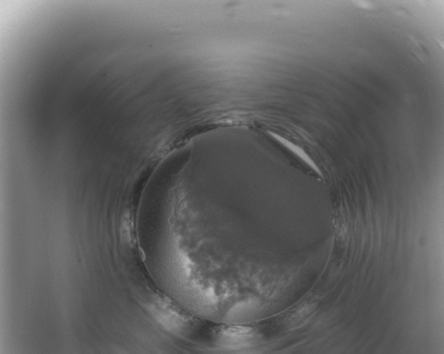 X0000064740669200602131317