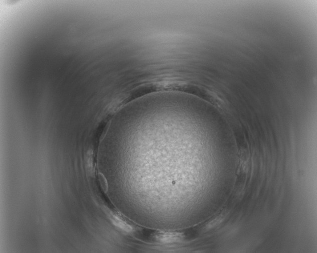 X0000064740670200602131317