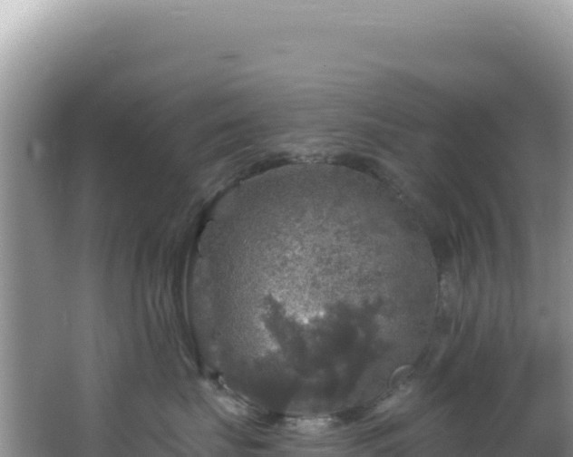 X0000064740671200602131317