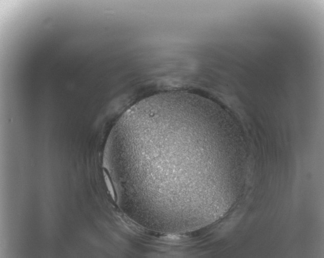 X0000064740672200602131318