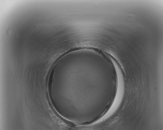 X0000064740673200602131317