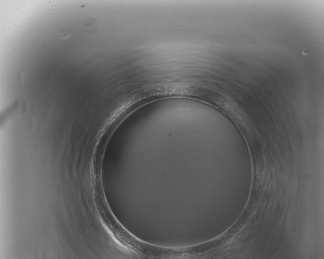 X0000064740674200602131317