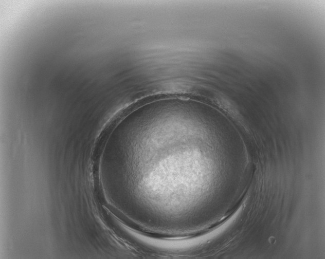 X0000064740676200602131317