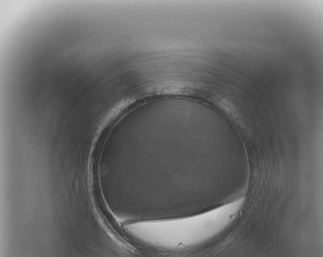 X0000064740678200602131317