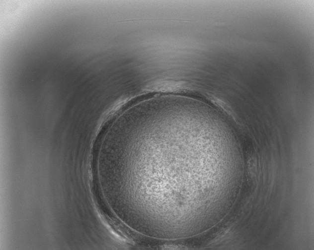 X0000064740682200602131317