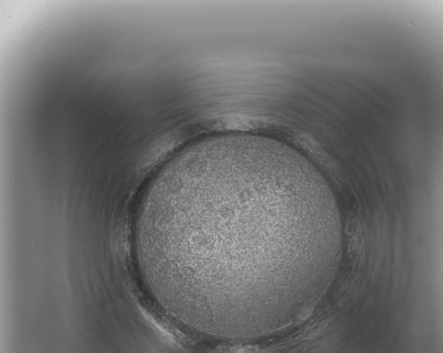 X0000064740683200602131317