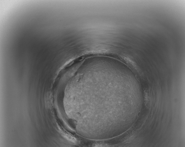 X0000064740684200602131317