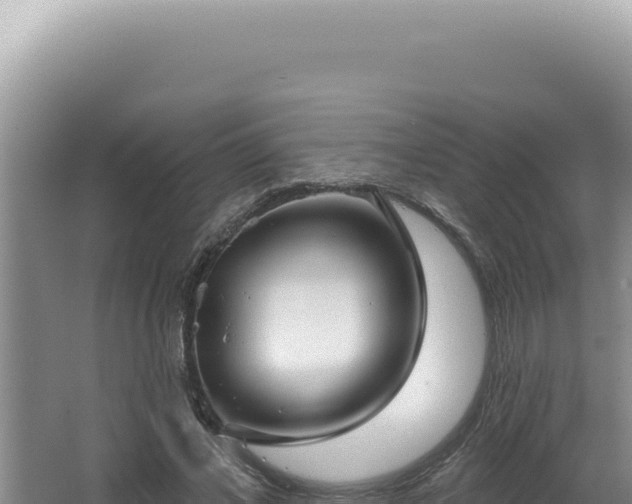 X0000064740685200602131316