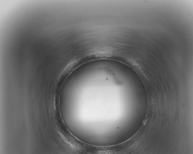 X0000064740686200602131316